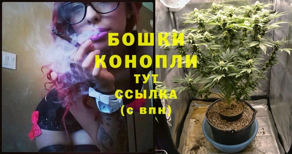 винт Аркадак