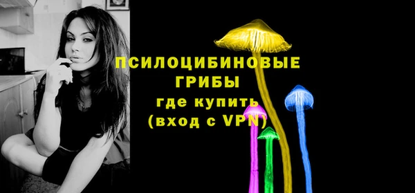 винт Аркадак
