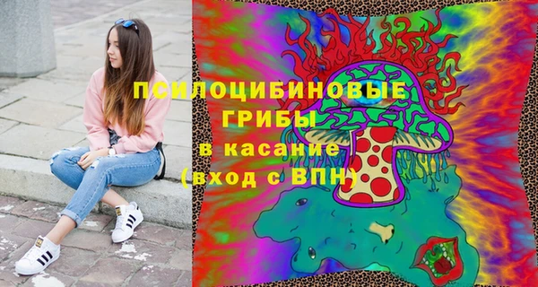 хмурый Армянск